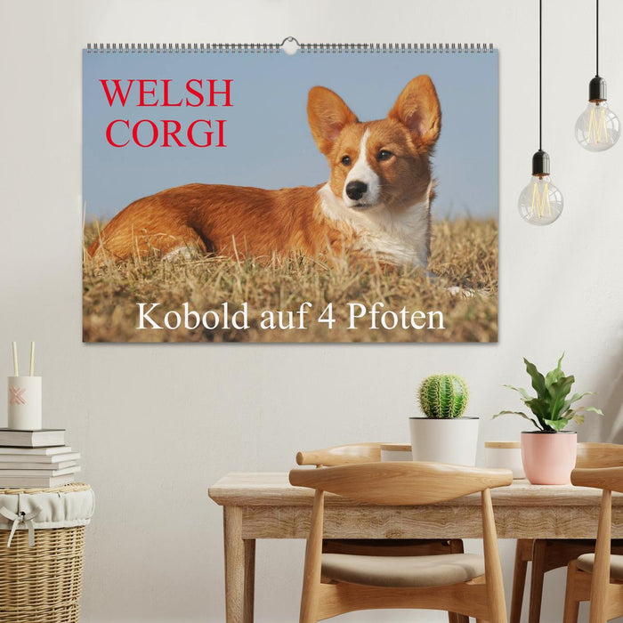 Welsh Corgi - Kobold auf 4 Pfoten (CALVENDO Wandkalender 2026)
