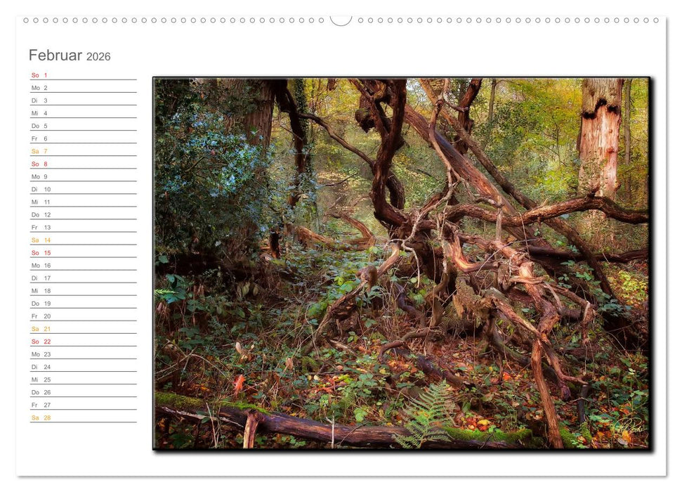 Der Neuenburger Urwald (CALVENDO Premium Wandkalender 2026)