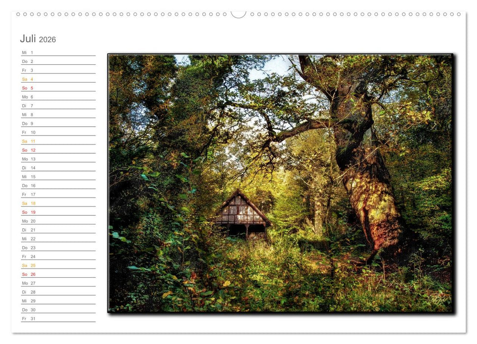 Der Neuenburger Urwald (CALVENDO Premium Wandkalender 2026)