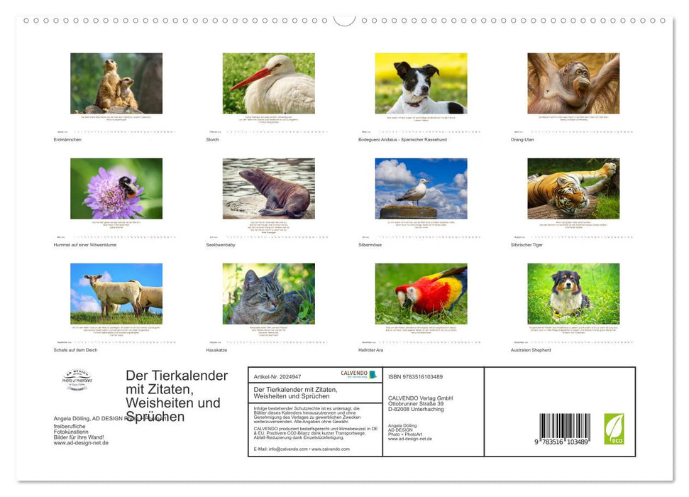Der Tierkalender mit Zitaten, Weisheiten und Sprüchen (CALVENDO Premium Wandkalender 2026)