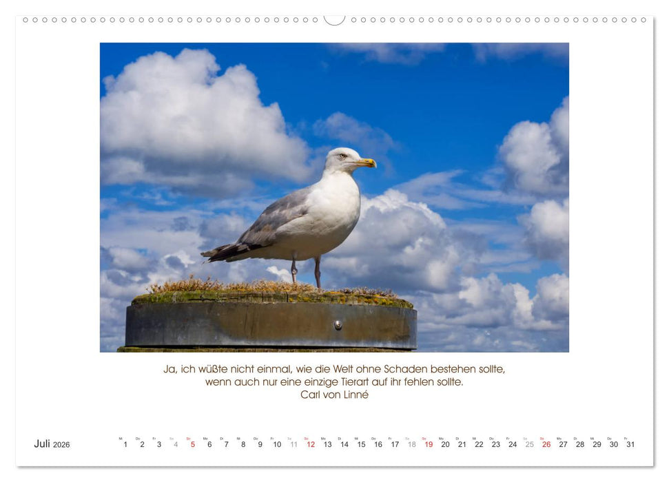 Der Tierkalender mit Zitaten, Weisheiten und Sprüchen (CALVENDO Premium Wandkalender 2026)