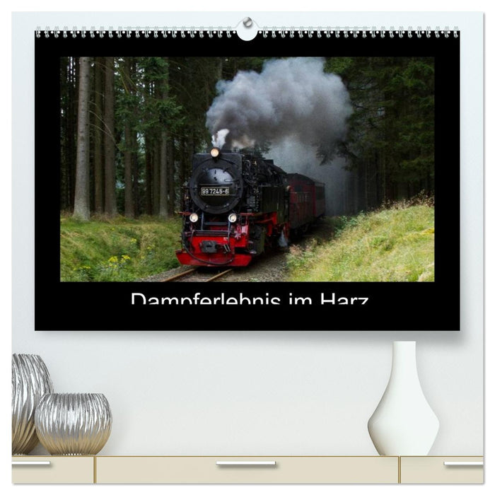 Dampferlebnis im Harz (CALVENDO Premium Wandkalender 2026)