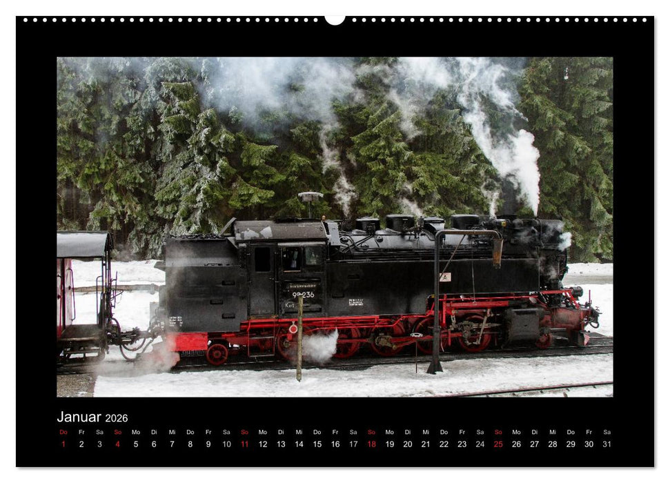 Dampferlebnis im Harz (CALVENDO Premium Wandkalender 2026)