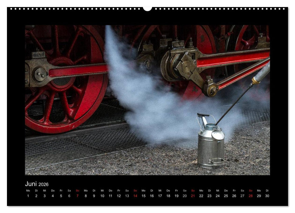 Dampferlebnis im Harz (CALVENDO Premium Wandkalender 2026)