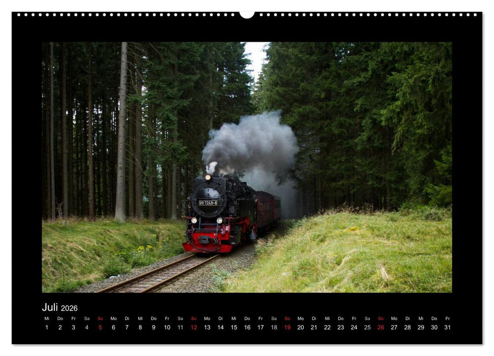 Dampferlebnis im Harz (CALVENDO Premium Wandkalender 2026)