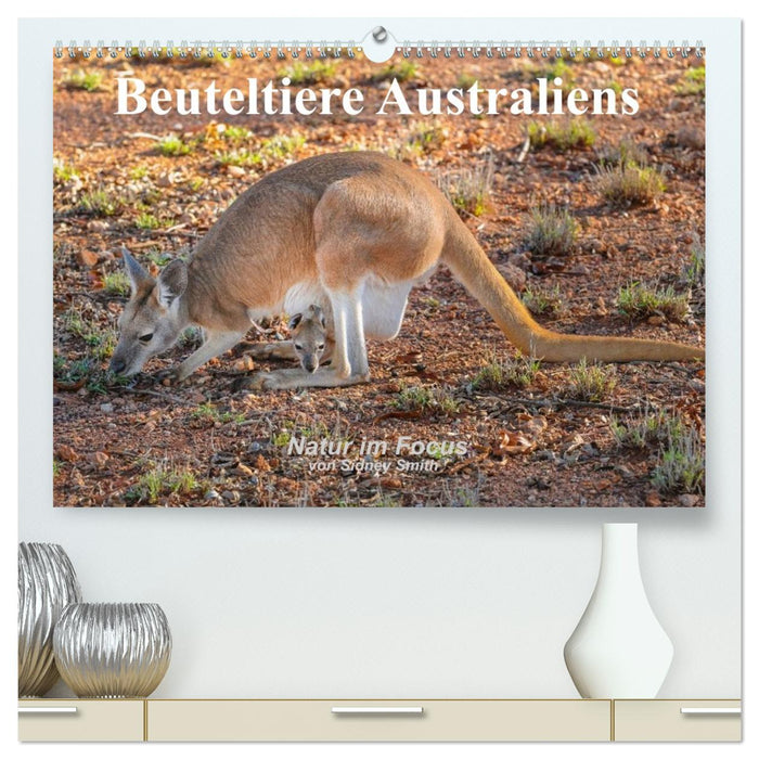 Beuteltiere Australiens (CALVENDO Premium Wandkalender 2026)