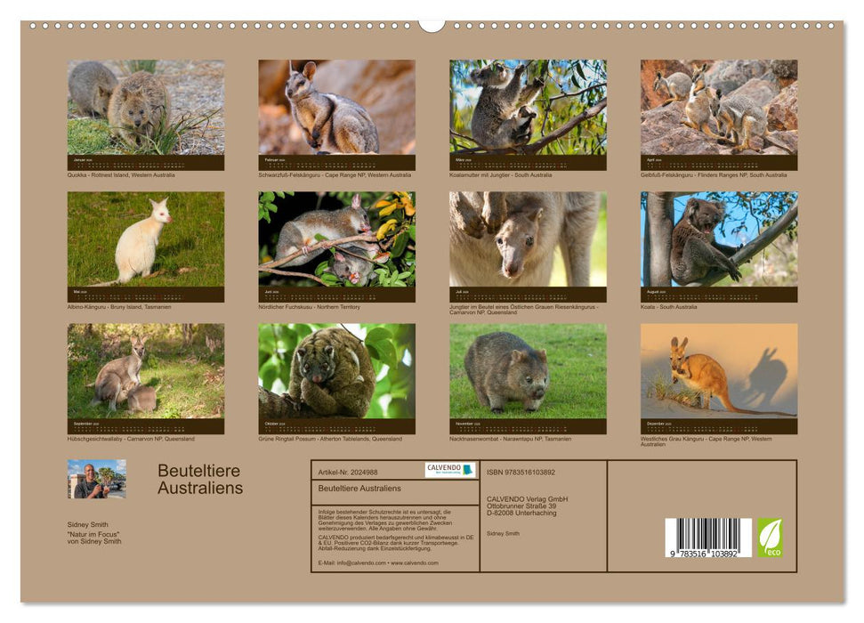 Beuteltiere Australiens (CALVENDO Premium Wandkalender 2026)