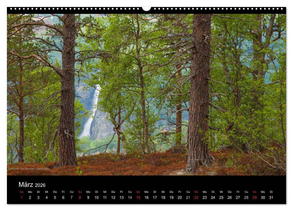 Naturwucht Skandinavien (CALVENDO Premium Wandkalender 2026)