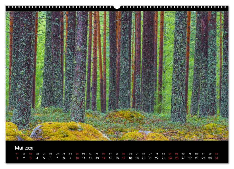Naturwucht Skandinavien (CALVENDO Premium Wandkalender 2026)
