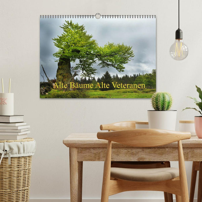 Alte Bäume Alte Veteranen (CALVENDO Wandkalender 2026)