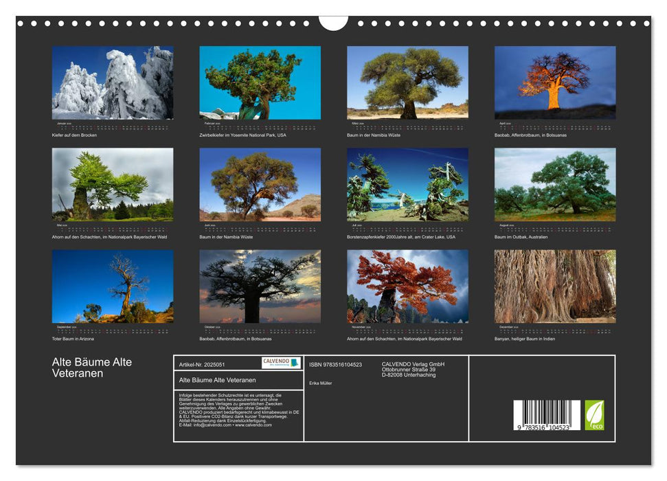 Alte Bäume Alte Veteranen (CALVENDO Wandkalender 2026)