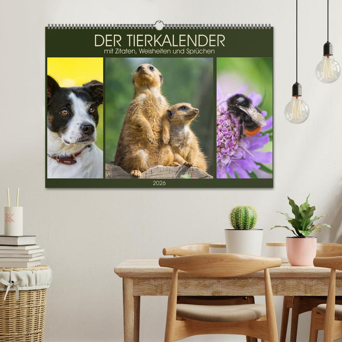 Der Tierkalender mit Zitaten, Weisheiten und Sprüchen (CALVENDO Wandkalender 2026)