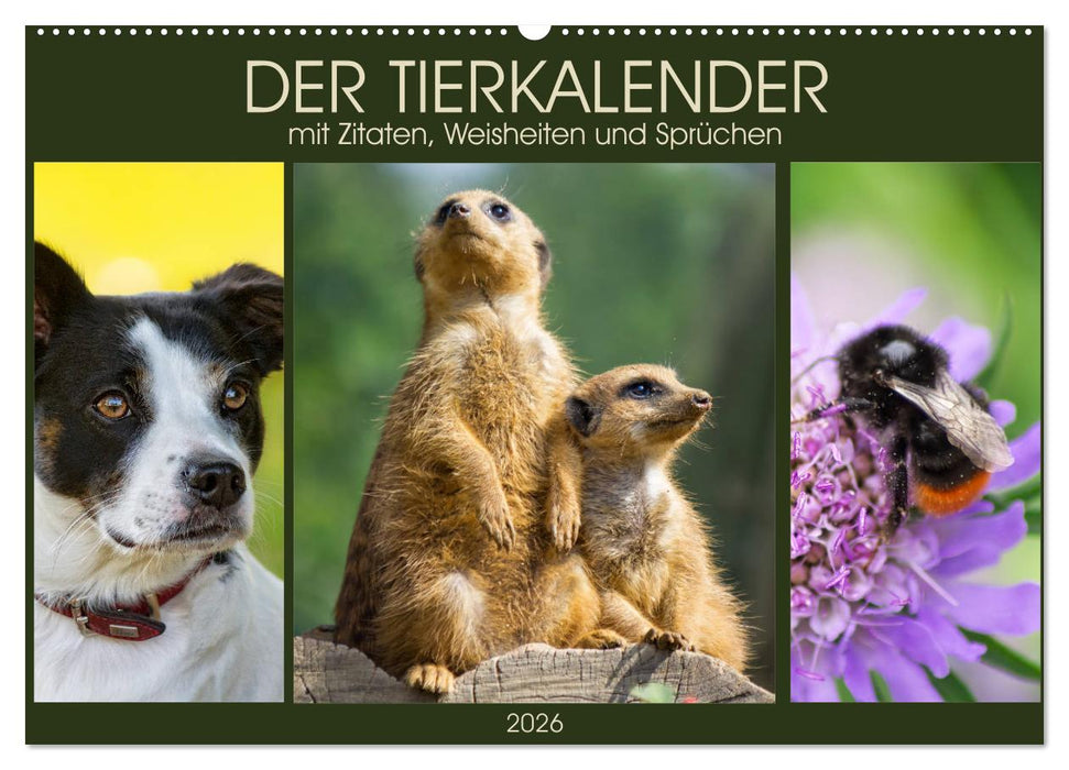 Der Tierkalender mit Zitaten, Weisheiten und Sprüchen (CALVENDO Wandkalender 2026)