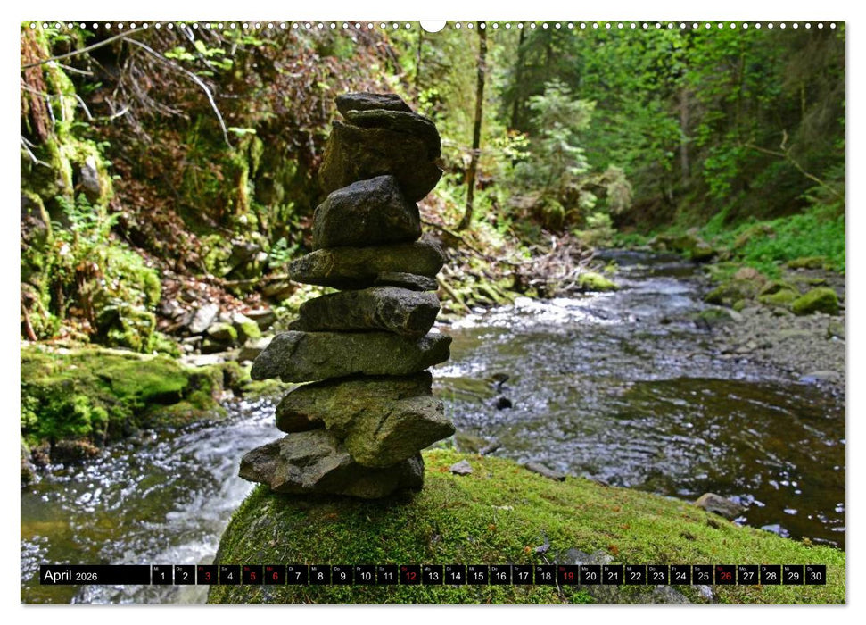 Romantischer Schwarzwald (CALVENDO Premium Wandkalender 2026)