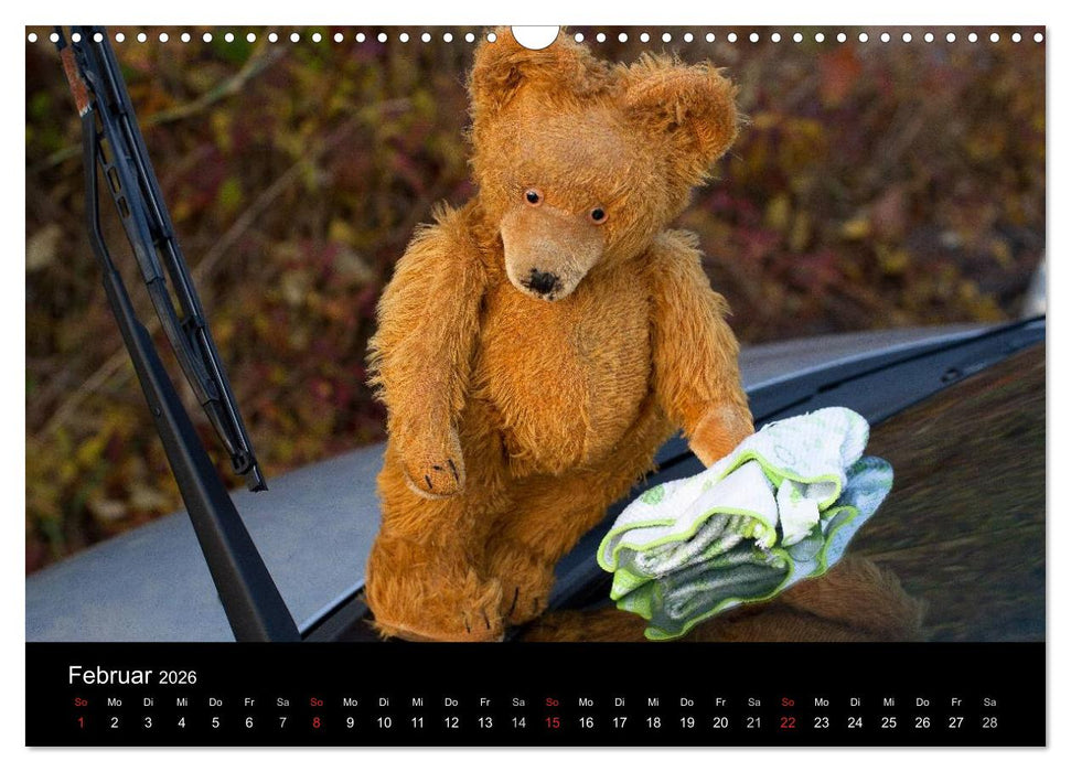Teddy Basse, Fortsetzung... (CALVENDO Wandkalender 2026)