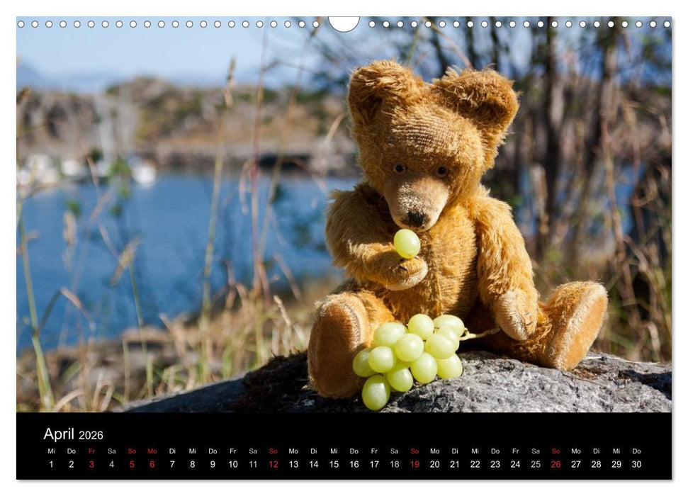 Teddy Basse, Fortsetzung... (CALVENDO Wandkalender 2026)