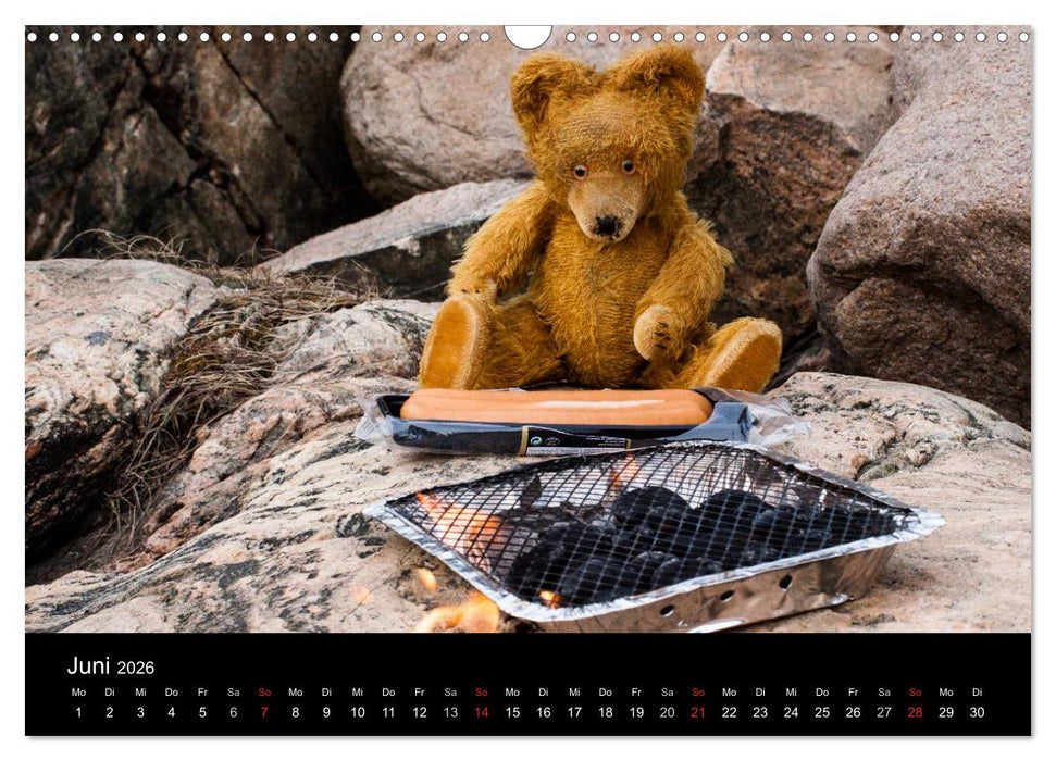 Teddy Basse, Fortsetzung... (CALVENDO Wandkalender 2026)