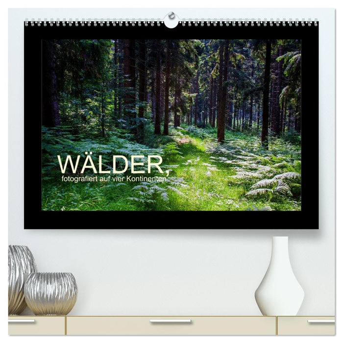 Wälder, fotografiert auf vier Kontinenten (CALVENDO Premium Wandkalender 2026)