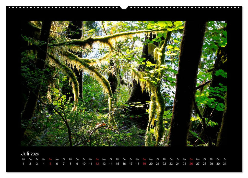 Wälder, fotografiert auf vier Kontinenten (CALVENDO Premium Wandkalender 2026)