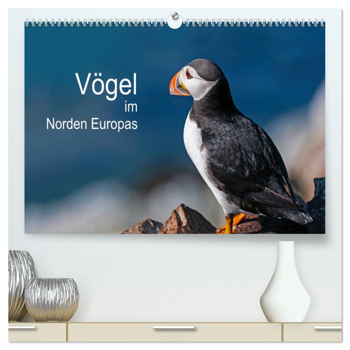Vögel im Norden Europas (CALVENDO Premium Wandkalender 2026)