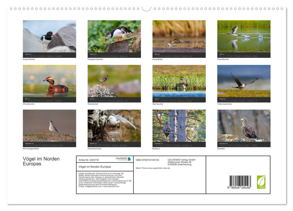 Vögel im Norden Europas (CALVENDO Premium Wandkalender 2026)