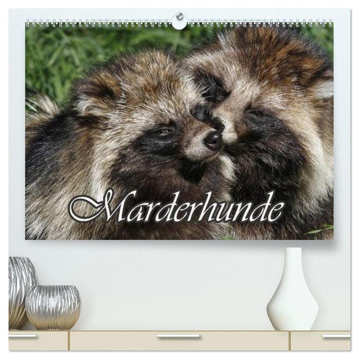 Marderhunde (CALVENDO Premium Wandkalender 2026)