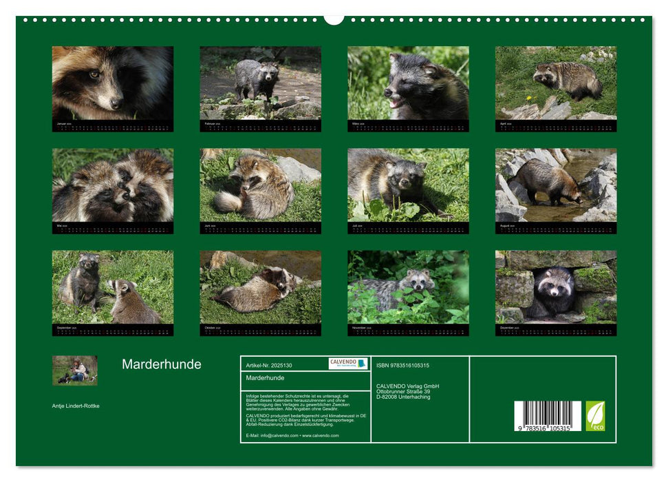 Marderhunde (CALVENDO Premium Wandkalender 2026)