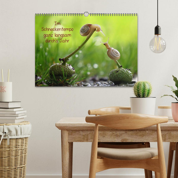 Ganz langsam im Schneckentempo durch's Jahr (CALVENDO Wandkalender 2026)