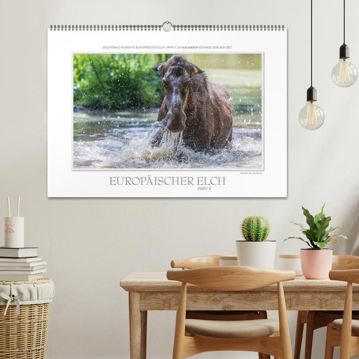 Emotionale Momente: Europäischer Elch Part II (CALVENDO Wandkalender 2026)