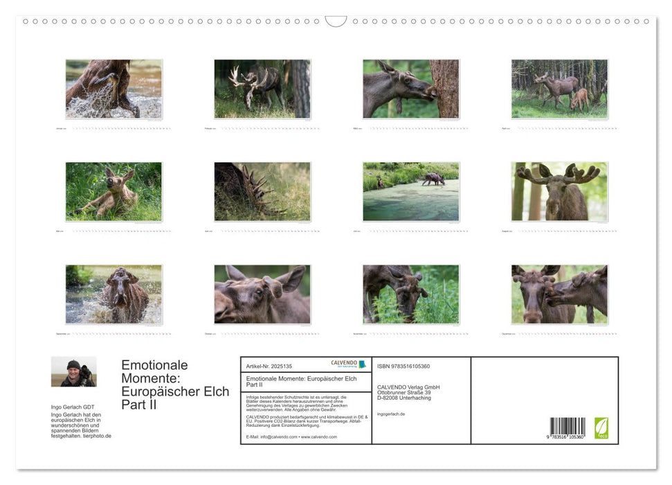 Emotionale Momente: Europäischer Elch Part II (CALVENDO Wandkalender 2026)