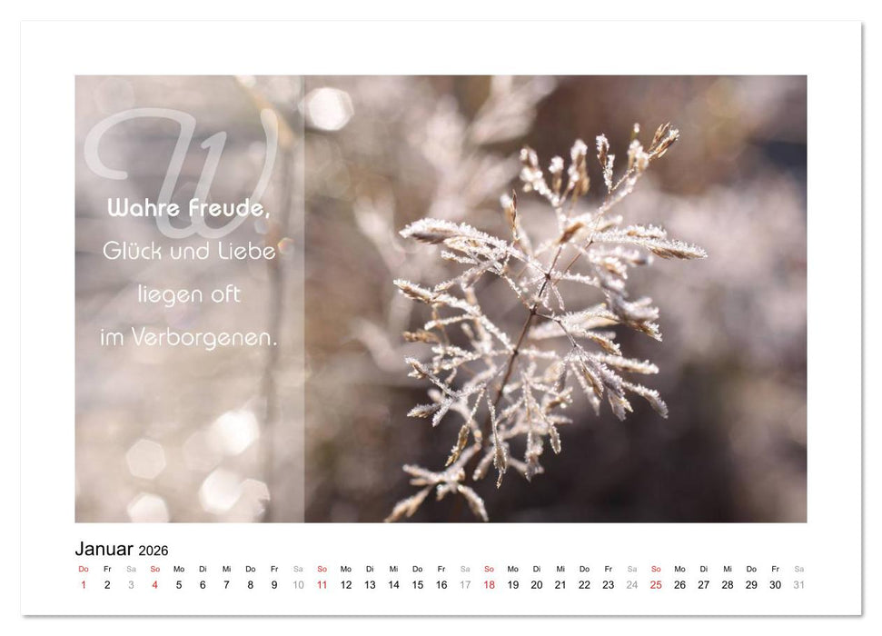 Kraft für Deine Seele (CALVENDO Wandkalender 2026)