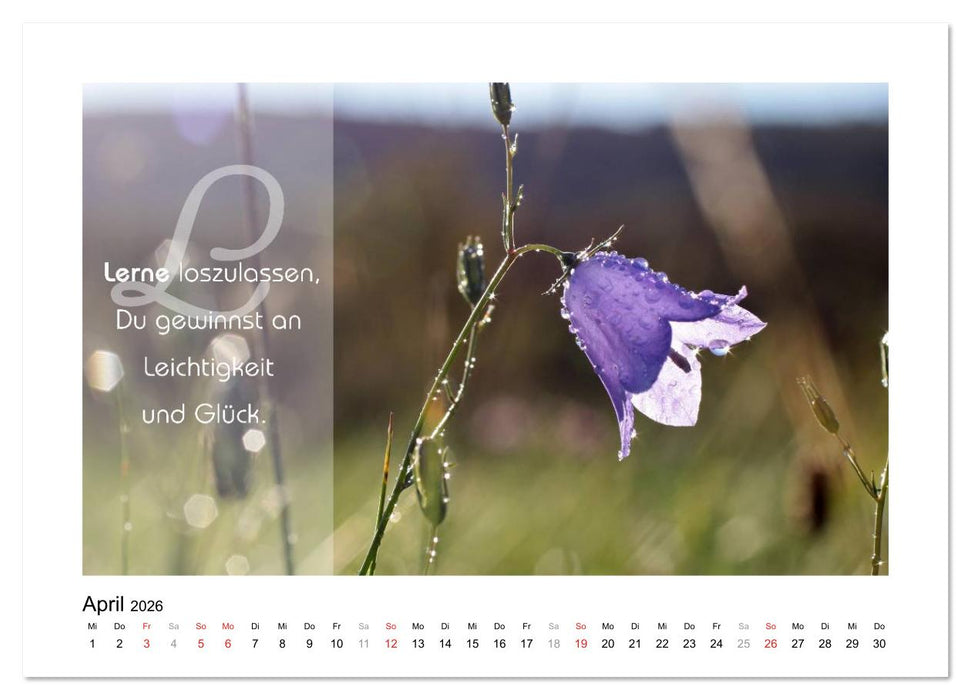 Kraft für Deine Seele (CALVENDO Wandkalender 2026)