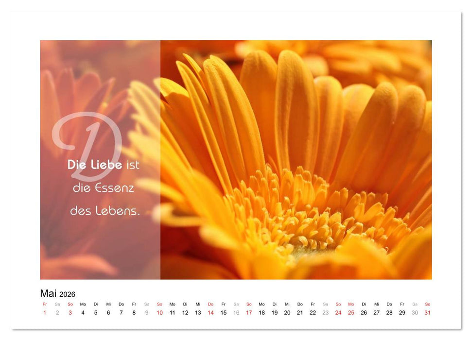 Kraft für Deine Seele (CALVENDO Wandkalender 2026)