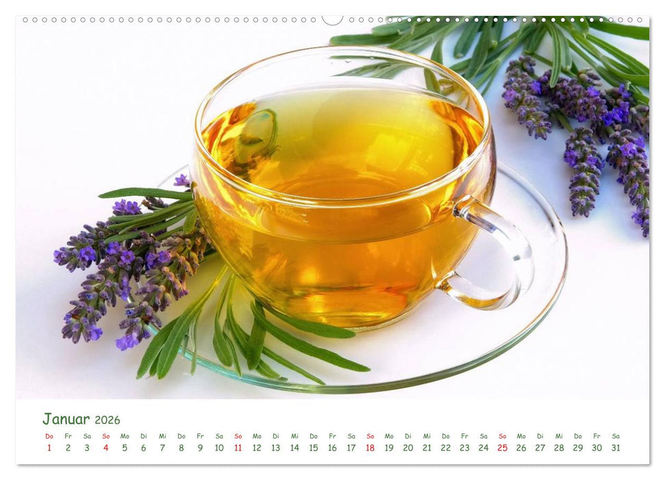 Arzneipflanzen (CALVENDO Premium Wandkalender 2026)