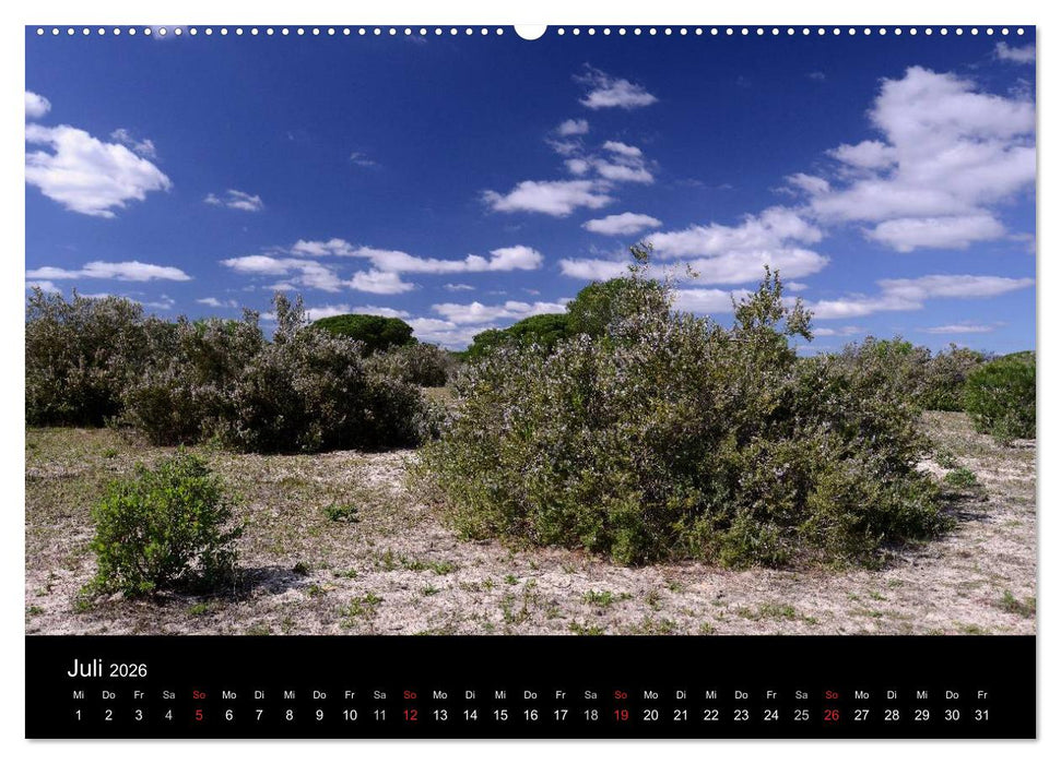 Spanien (CALVENDO Premium Wandkalender 2026)