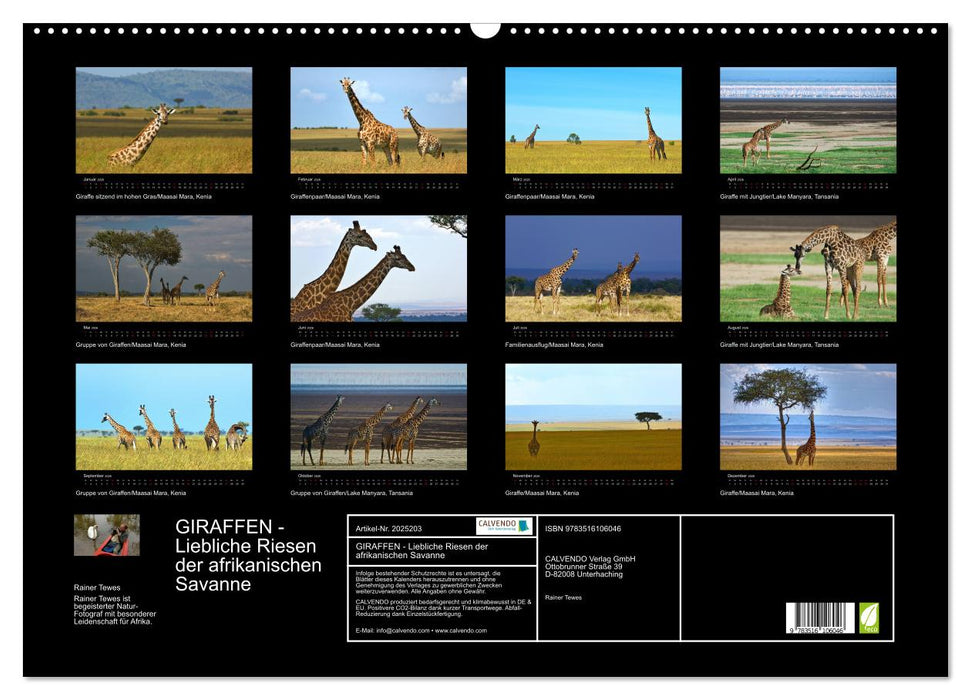 GIRAFFEN - Liebliche Riesen der afrikanischen Savanne (CALVENDO Wandkalender 2026)