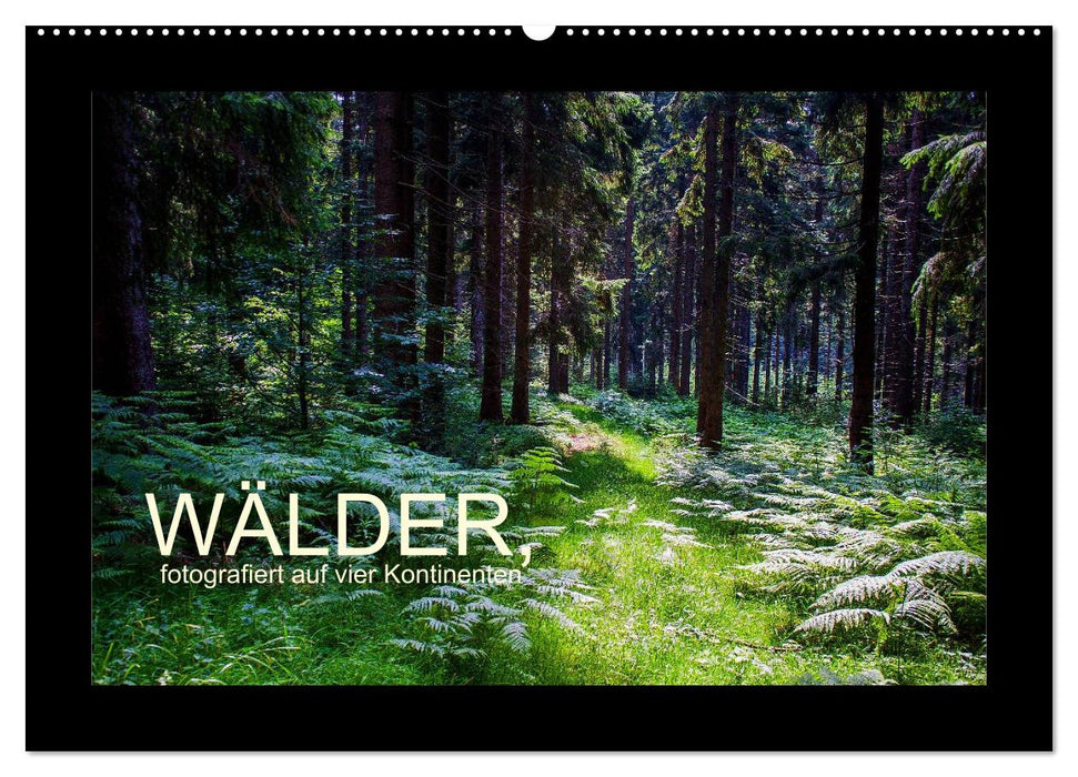 Wälder, fotografiert auf vier Kontinenten (CALVENDO Wandkalender 2026)