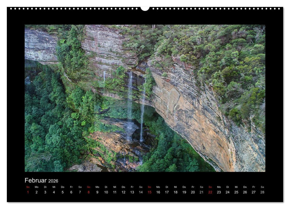 Wälder, fotografiert auf vier Kontinenten (CALVENDO Wandkalender 2026)