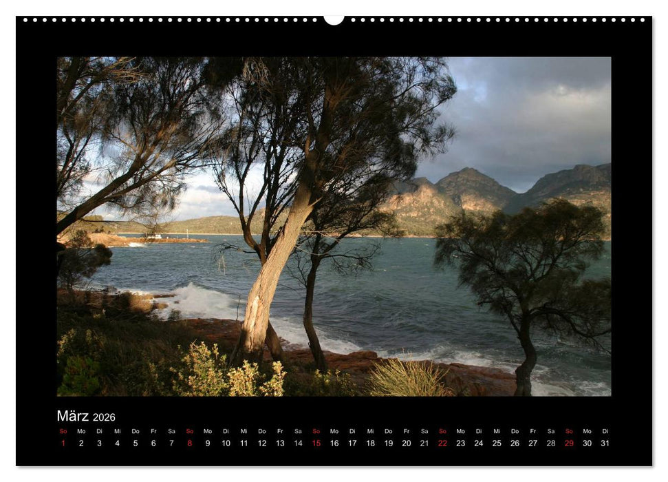 Wälder, fotografiert auf vier Kontinenten (CALVENDO Wandkalender 2026)