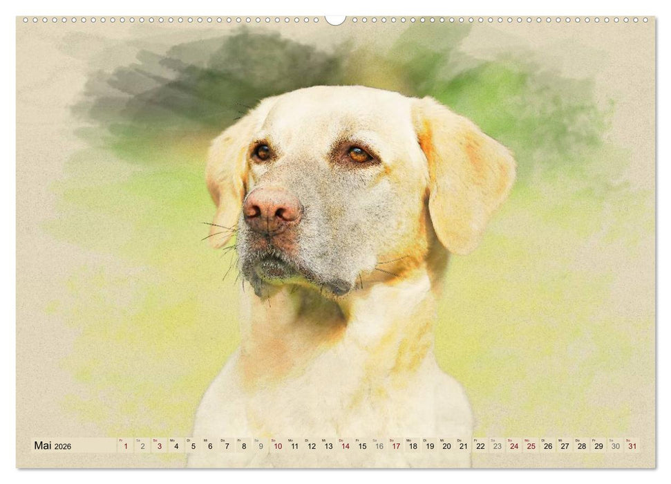 Labrador Retriever 2026 (CALVENDO Premium Wandkalender 2026)