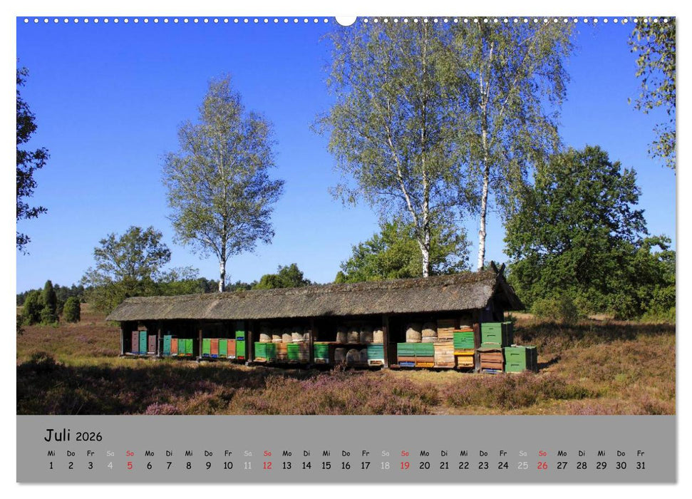 Lüneburger Heide - schön zu jeder Jahreszeit (CALVENDO Premium Wandkalender 2026)