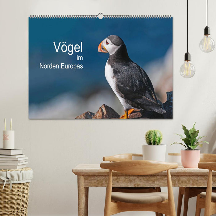 Vögel im Norden Europas (CALVENDO Wandkalender 2026)