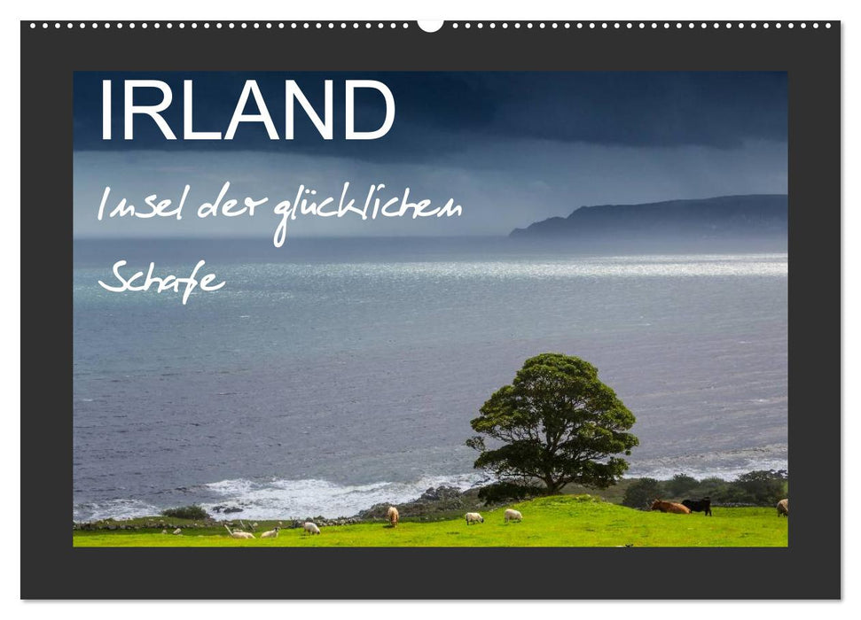 IRLAND - Insel der glücklichen Schafe (CALVENDO Wandkalender 2026)