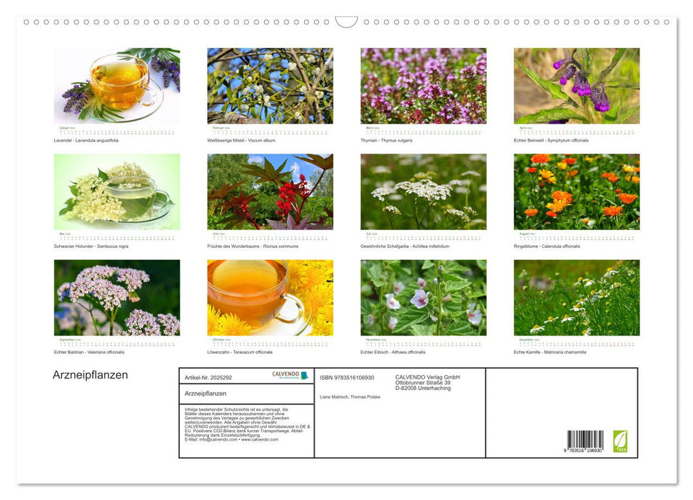 Arzneipflanzen (CALVENDO Wandkalender 2026)