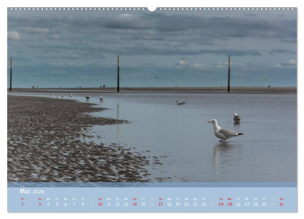 Mein St.Peter-Ording (CALVENDO Wandkalender 2026)
