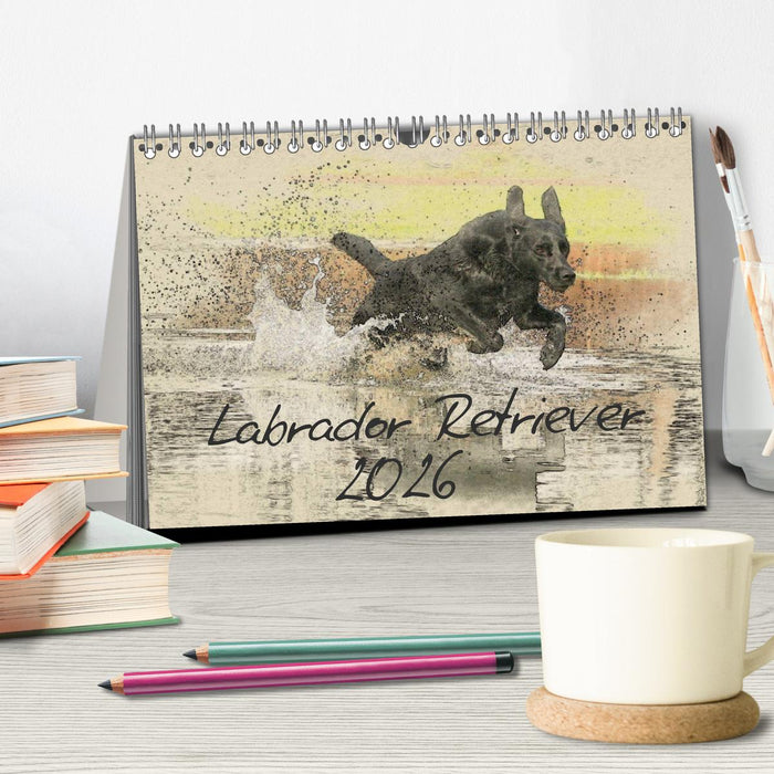 Labrador Retriever 2026 (CALVENDO Wandkalender 2026)