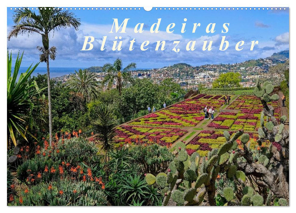 Madeiras Blütenzauber (CALVENDO Wandkalender 2026)