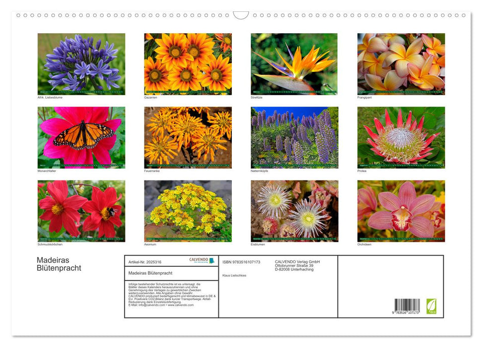 Madeiras Blütenpracht (CALVENDO Wandkalender 2026)