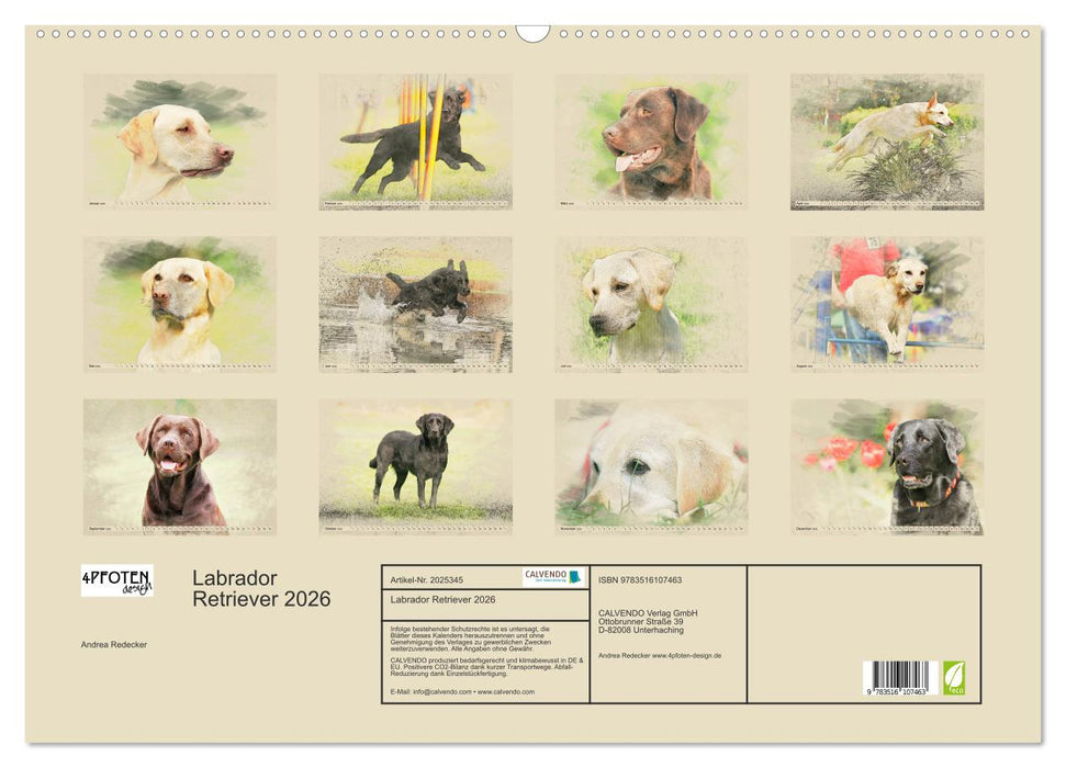 Labrador Retriever 2026 (CALVENDO Wandkalender 2026)
