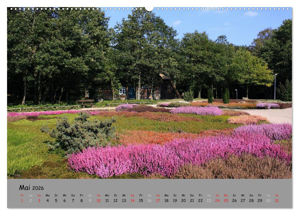 Lüneburger Heide - schön zu jeder Jahreszeit (CALVENDO Wandkalender 2026)